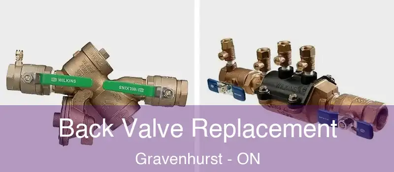 Back Valve Replacement Gravenhurst - ON