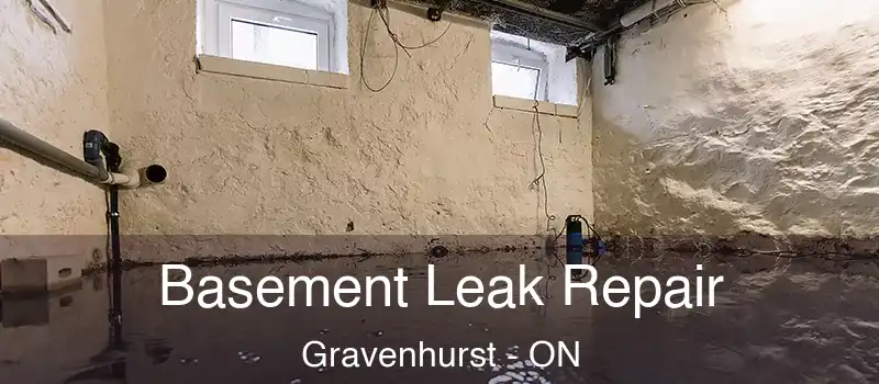 Basement Leak Repair Gravenhurst - ON