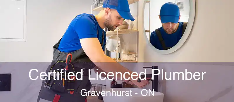 Certified Licenced Plumber Gravenhurst - ON