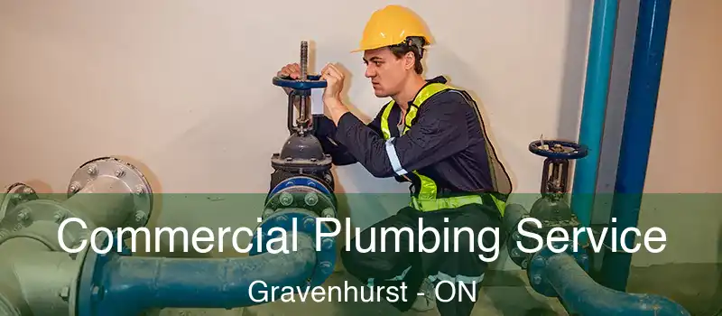  Commercial Plumbing Service Gravenhurst - ON