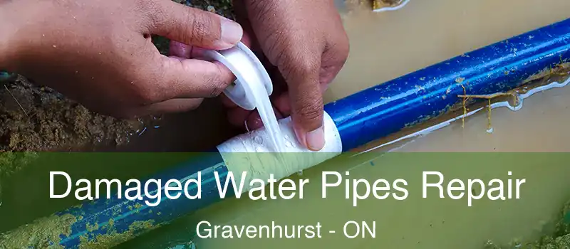  Damaged Water Pipes Repair Gravenhurst - ON