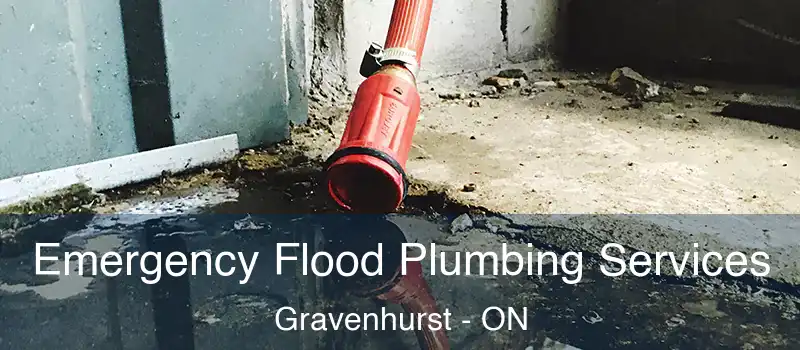  Emergency Flood Plumbing Services Gravenhurst - ON