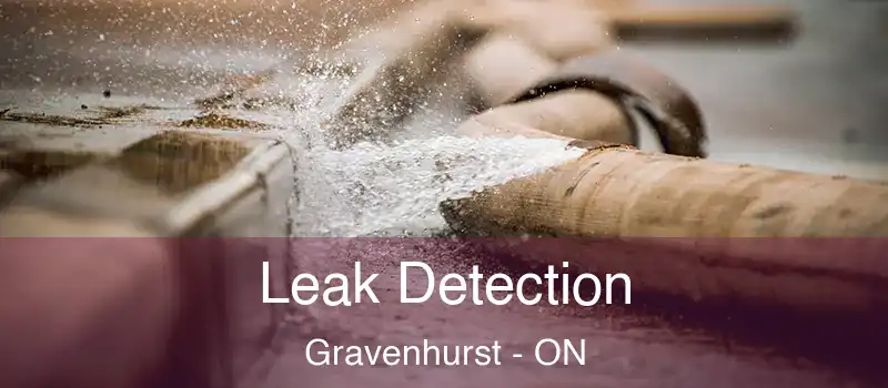  Leak Detection Gravenhurst - ON