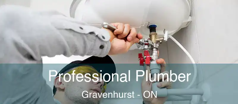 Professional Plumber Gravenhurst - ON