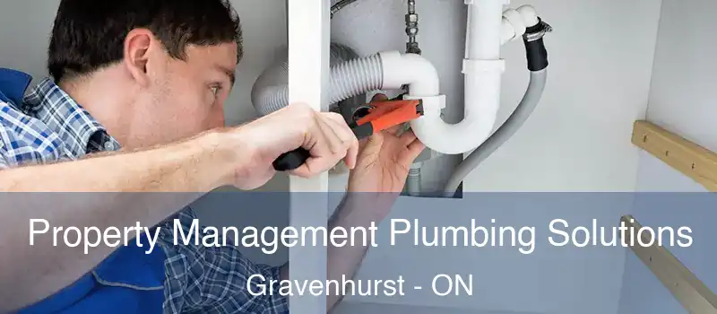 Property Management Plumbing Solutions Gravenhurst - ON