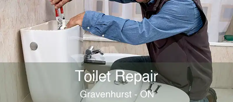 Toilet Repair Gravenhurst - ON