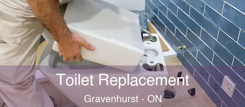Toilet Replacement Gravenhurst - ON