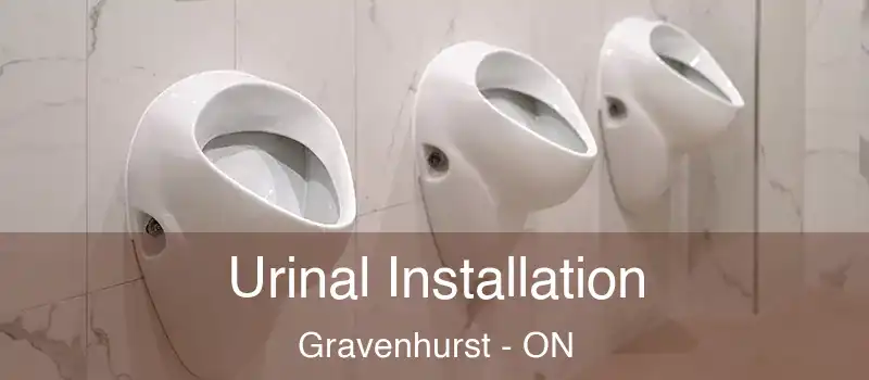Urinal Installation Gravenhurst - ON