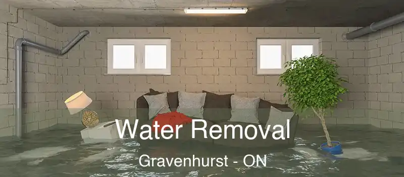  Water Removal Gravenhurst - ON